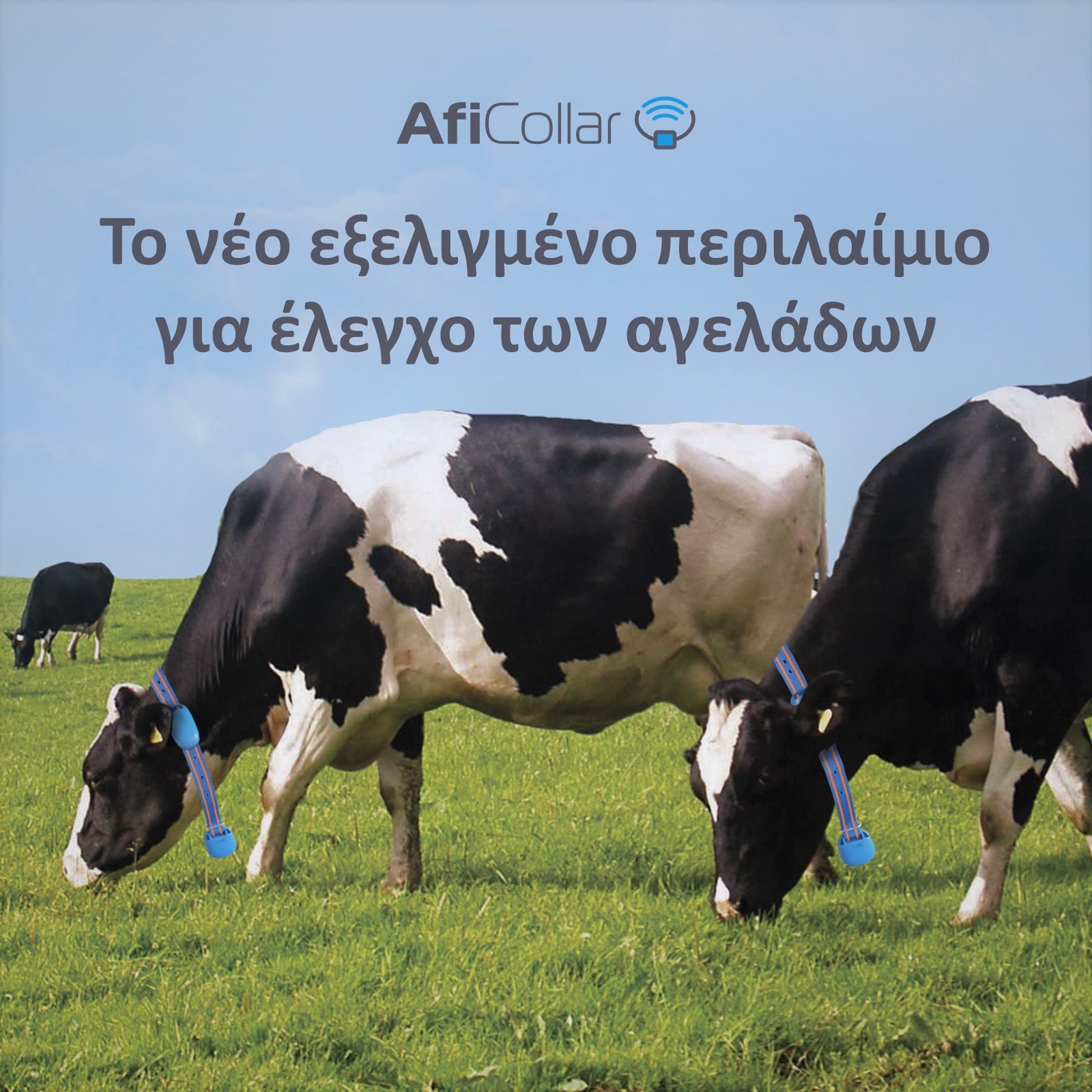 Σύστημα ηλεκτρονικής παρακολούθησης αγελάδων Silent Herdsman